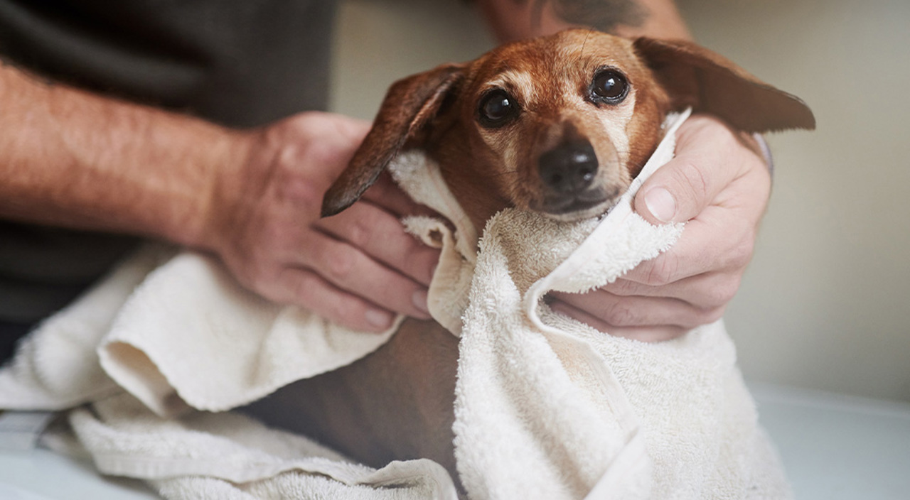 Microfibre Towel