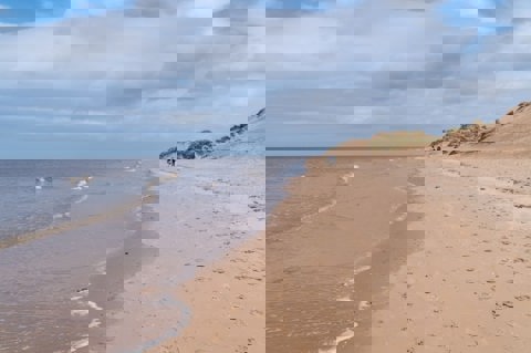 Formby Opt Uk