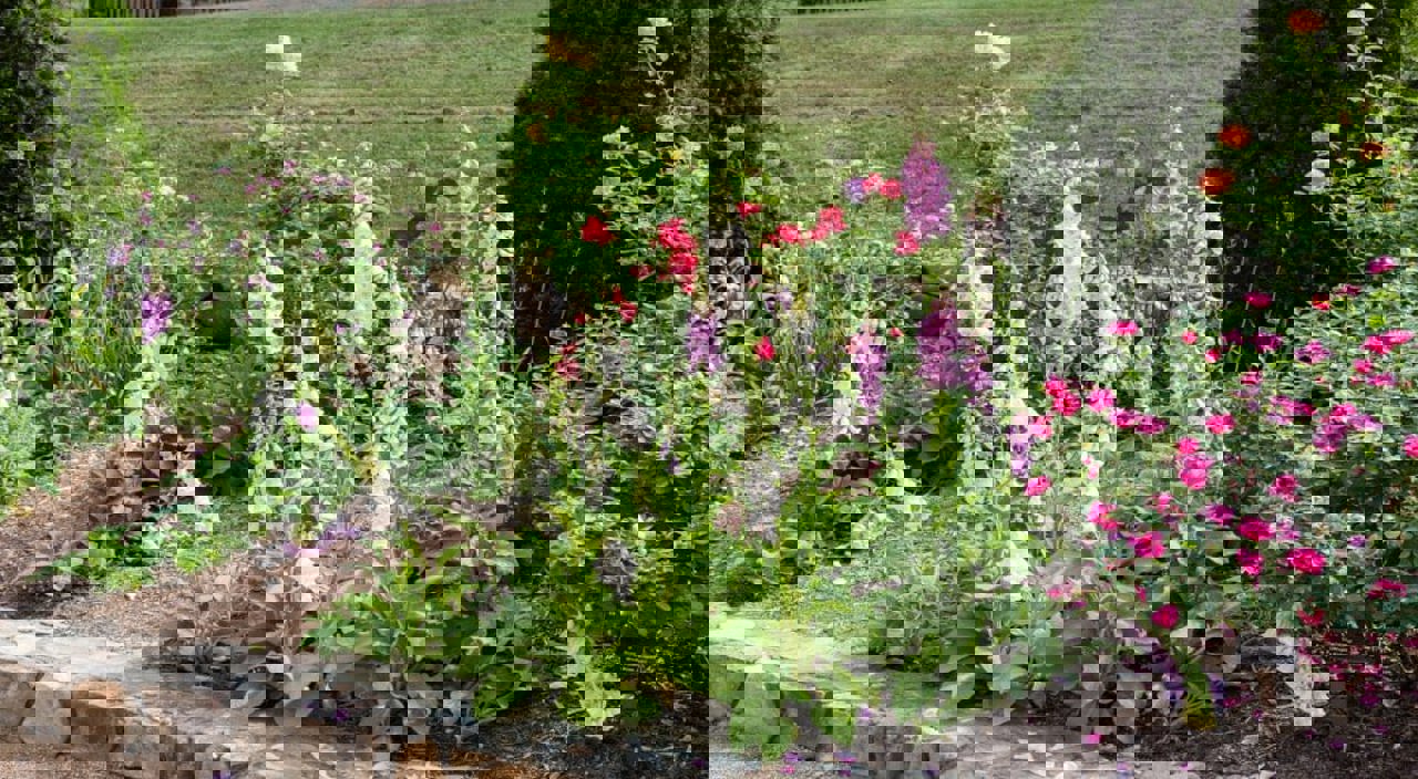 Botanical Garden
