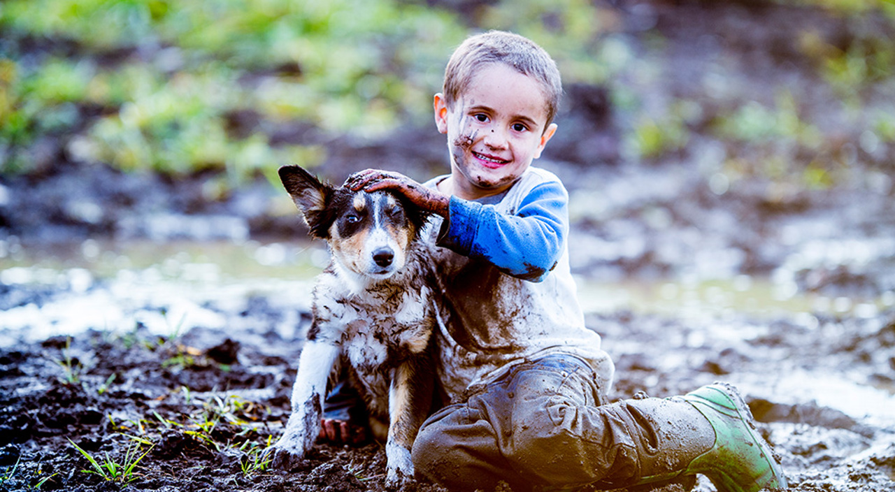 Muddy Dog