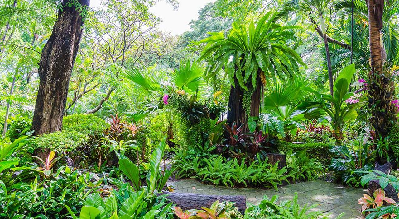 The Royal Botanical Gardens At Kew