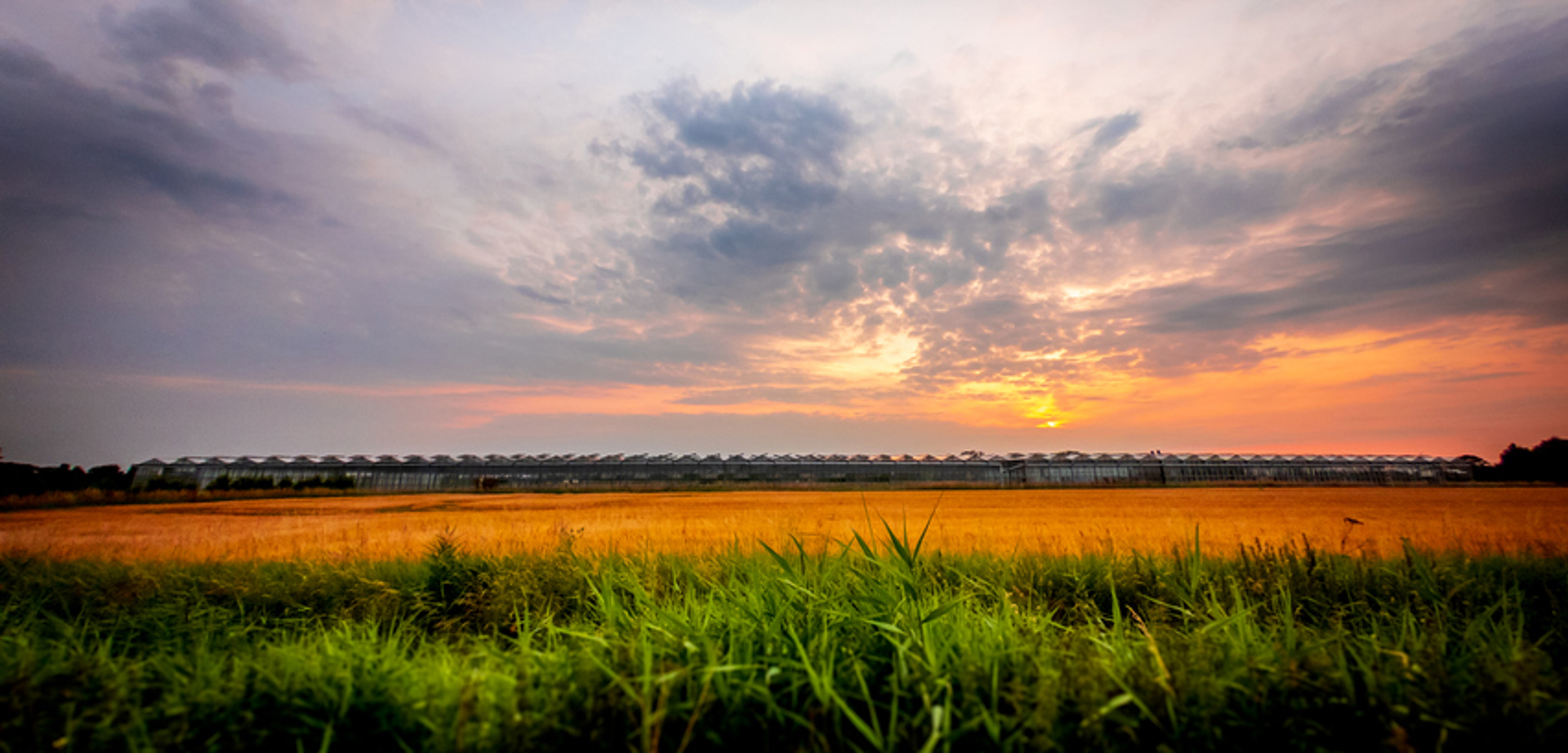 Spalding,Lincolnshire