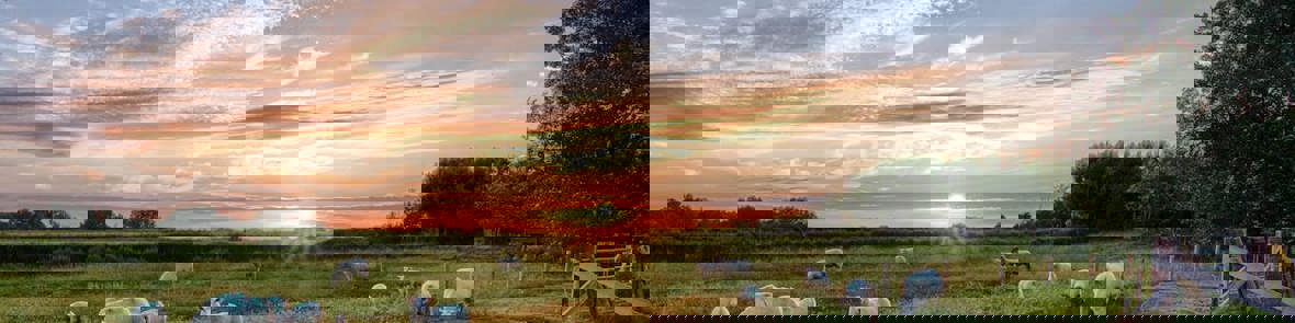 Countryside Stock Image