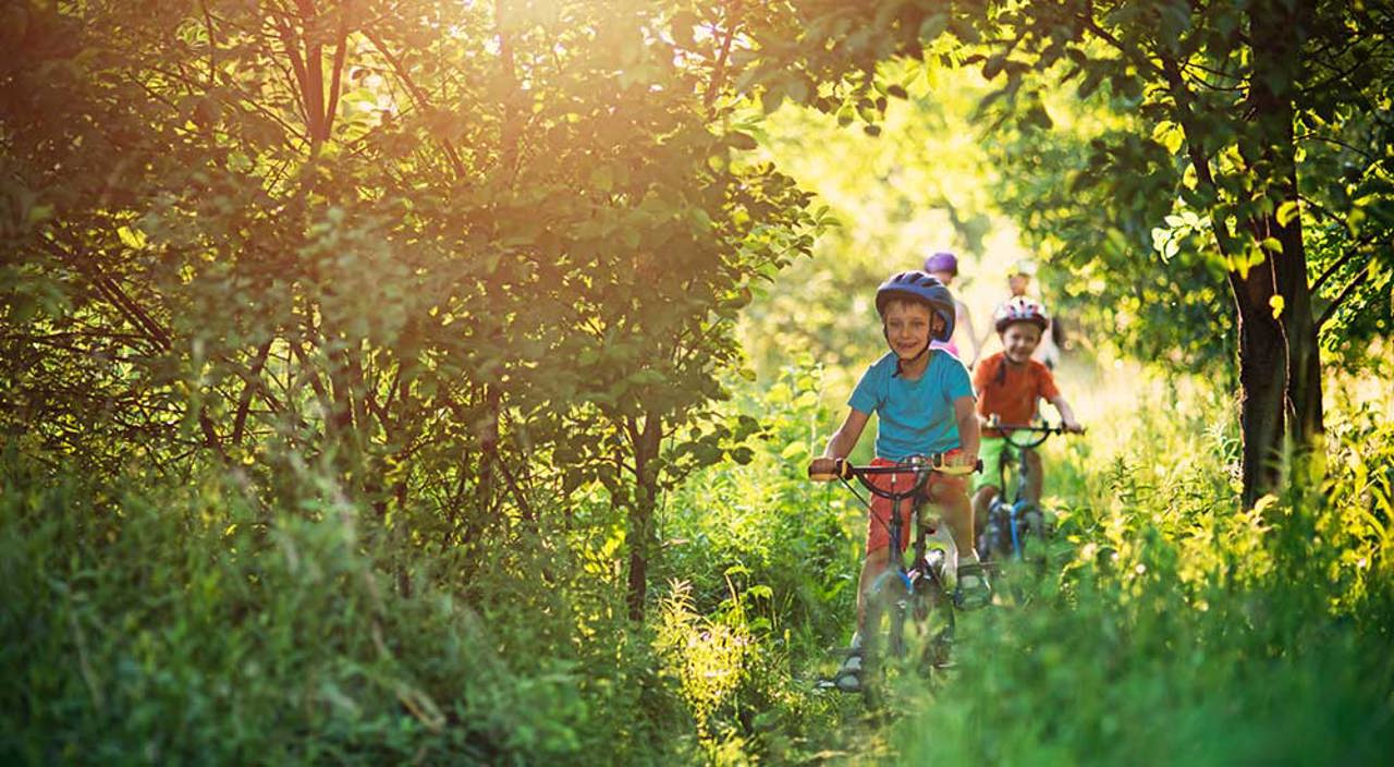 Cycling Holiday