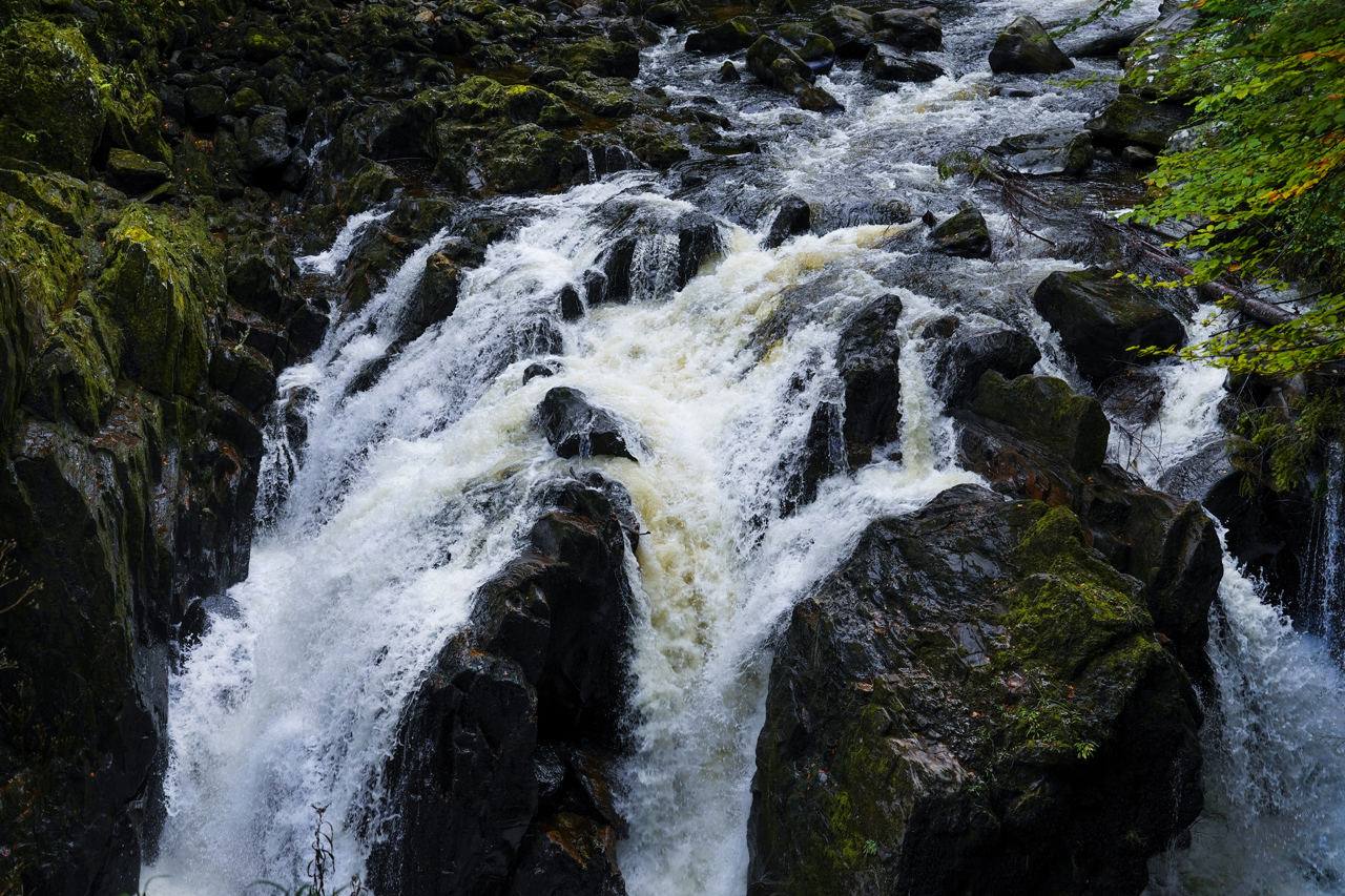 The Hermitage And Black Linn Falls