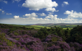Exmoor National Park
