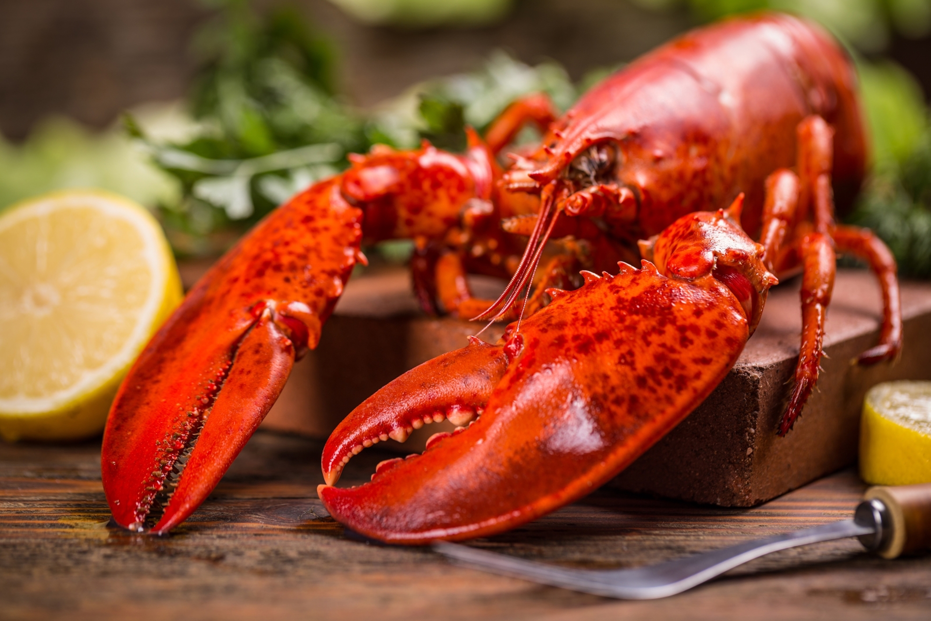 When did Lobster Become Food for the Rich?