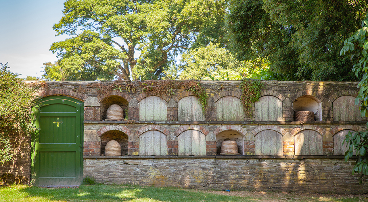 Lost Gardens Of Heligan (1)