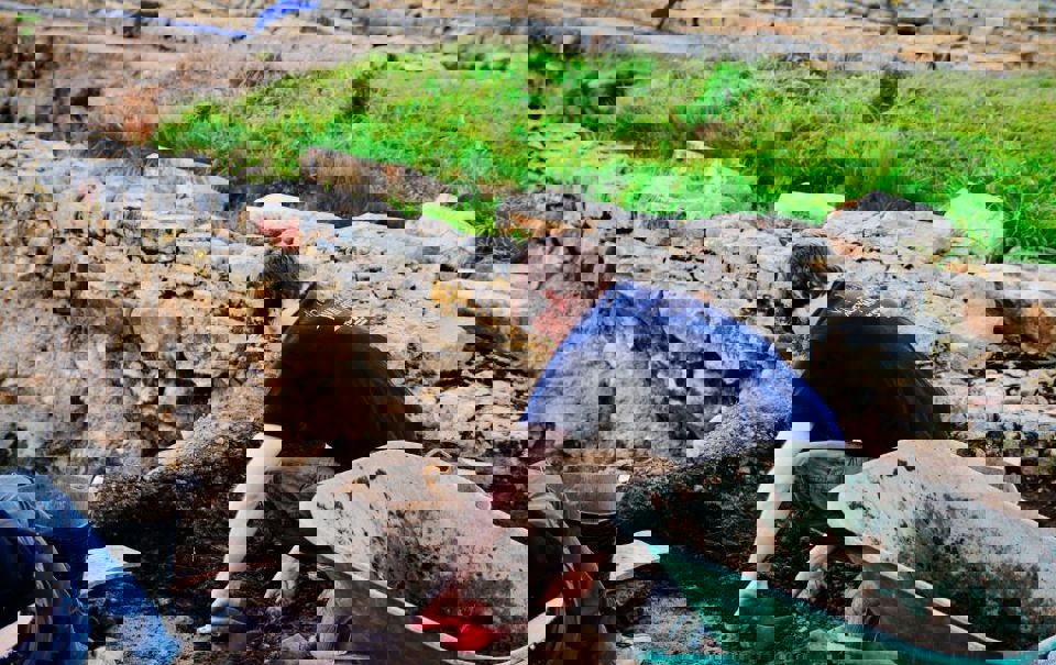 Roman Dig Content