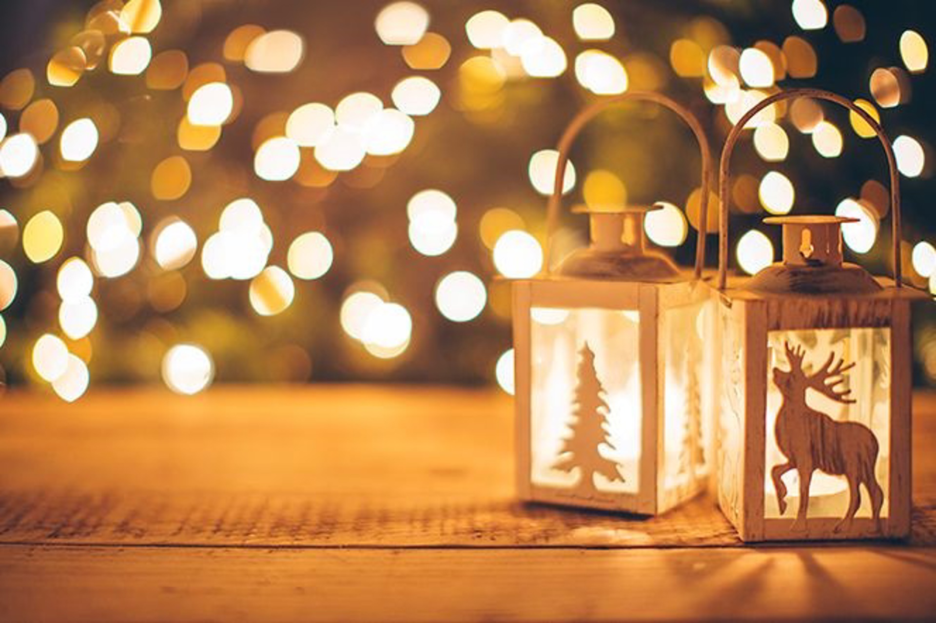 Seasonal Favourite Packages