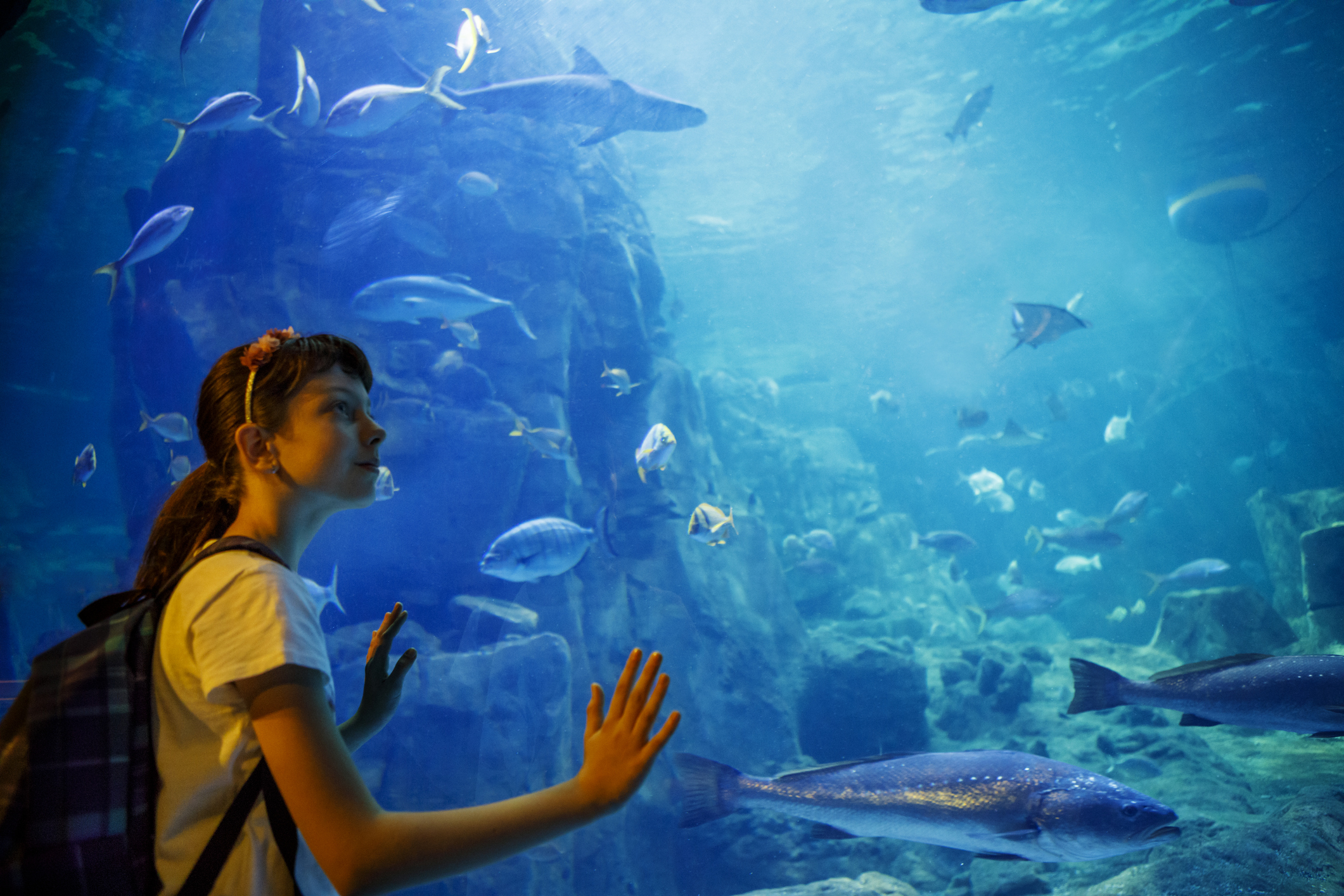 Hotels near Blue Planet Aquarium, United Kingdom from Best Western Hotels