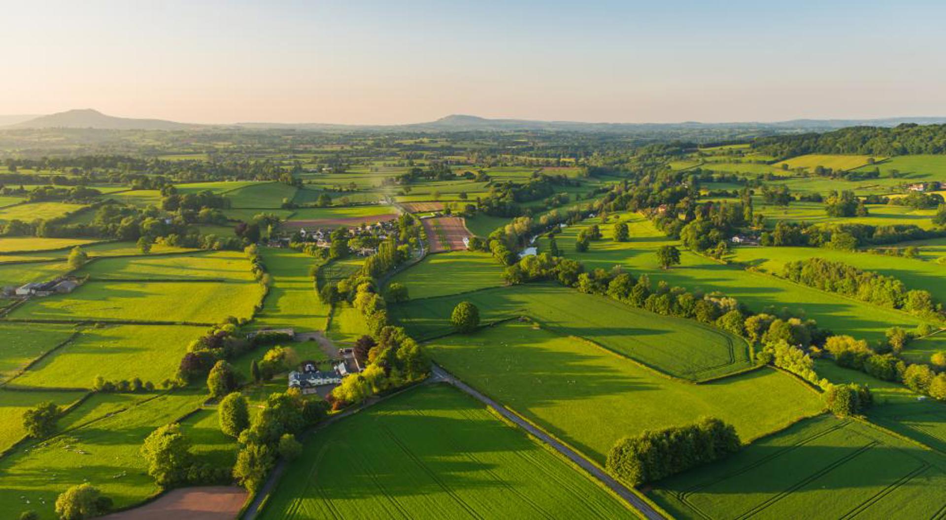 Countryside activities for every nature-lover