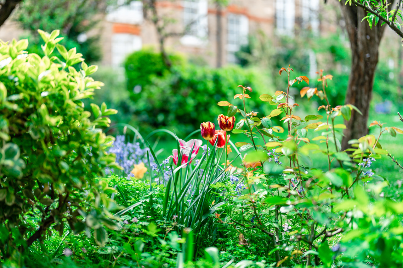 Chelsea Physic Garden