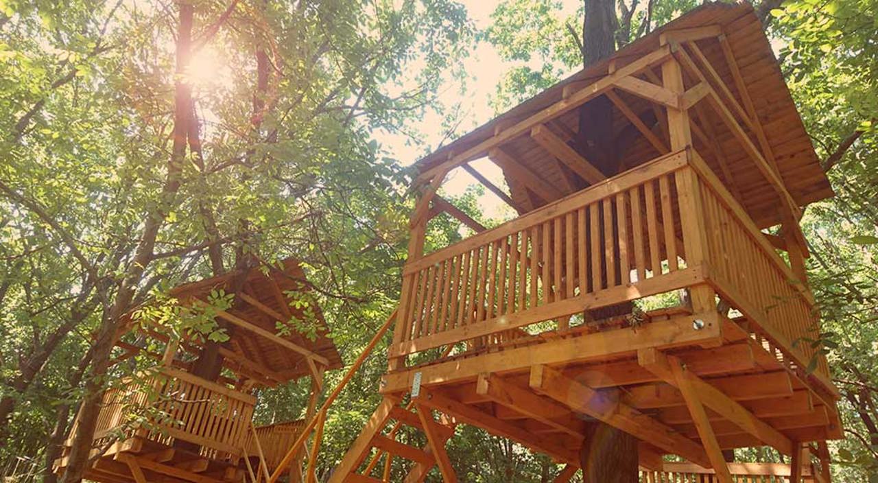 Bewilderwood