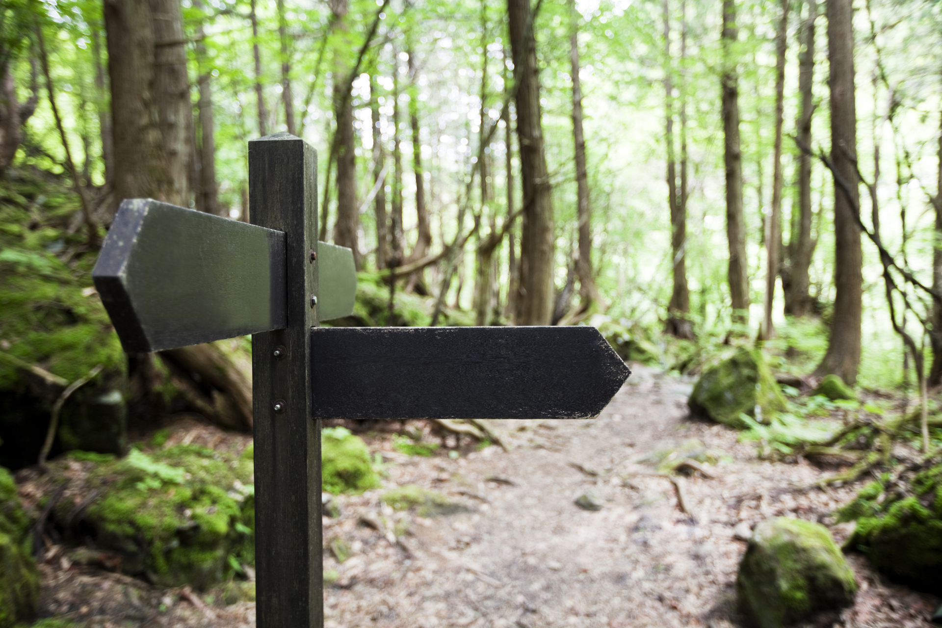 5 walking routes and their pub pit stops