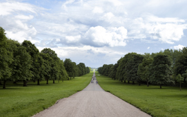 Windsor Great Park