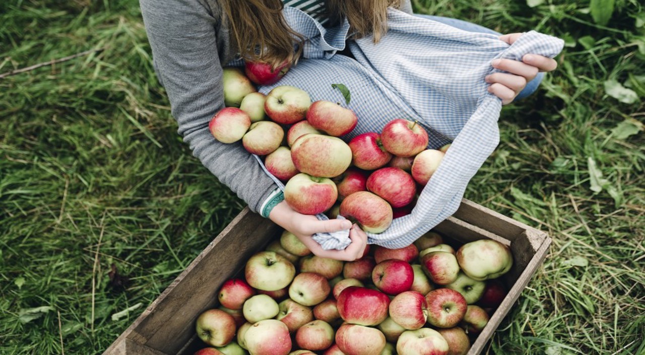 Pick Fresh Apples