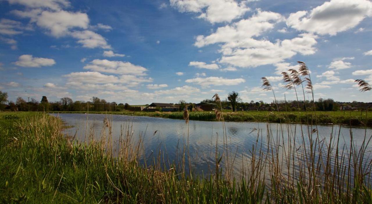 River Waveney