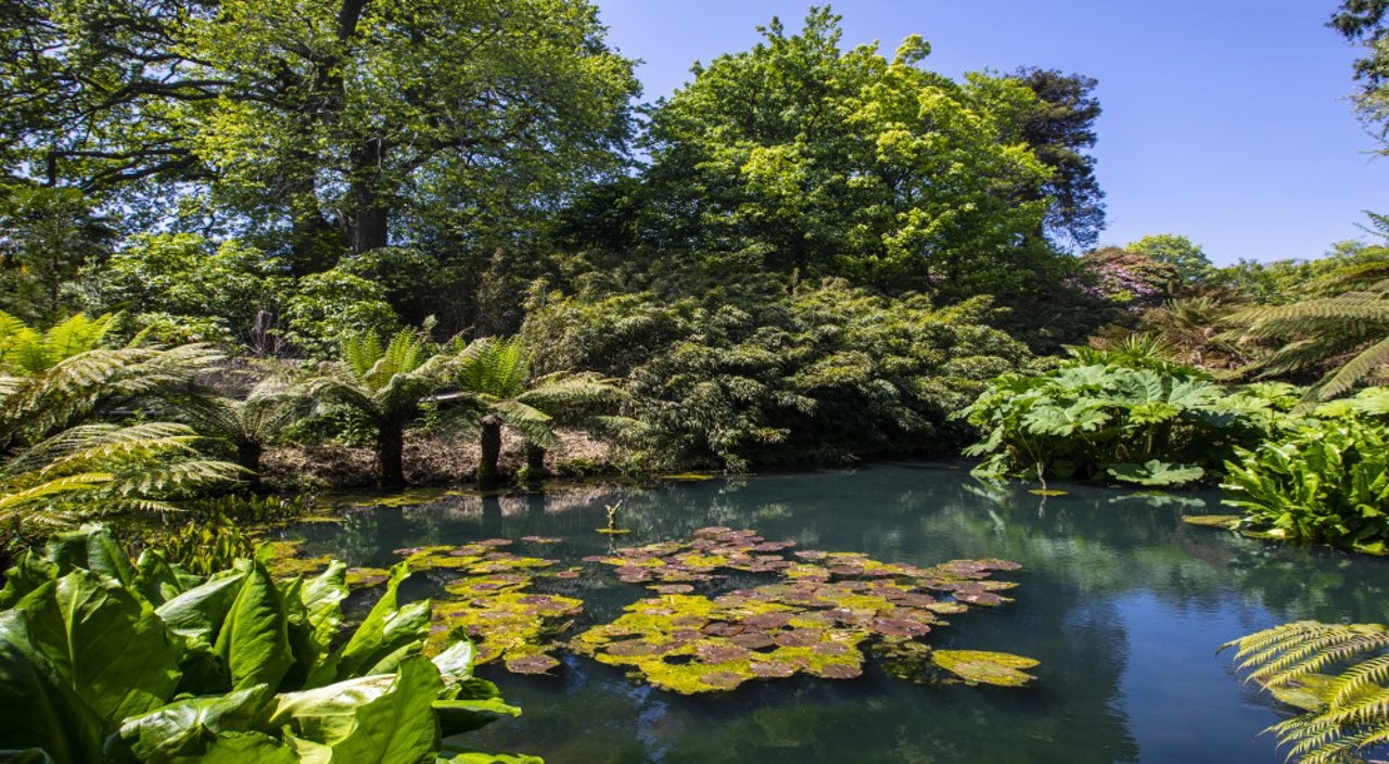 Lost Gardens Of Heligan